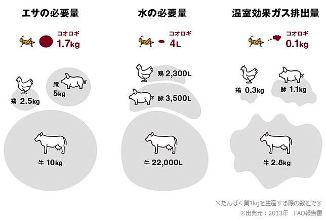 
<p>圖片來源：<a href=