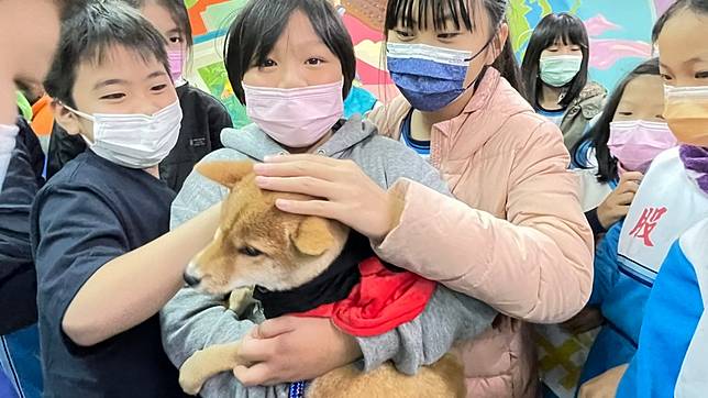 新北市五股區五股國小認養一隻小柴犬為校犬，小朋友開心地搶抱打招呼。（記者吳瀛洲攝）