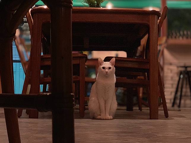 圖片提供／2730café 貳柒參零咖啡