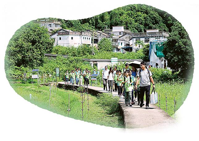 今年9月吳金曉帶參與了「山野生蹤」計劃的學生隨「無止橋-從零鄉村小組」到梅子林鄉郊野進行復育考察，並了解客家文化。（受訪者提供）