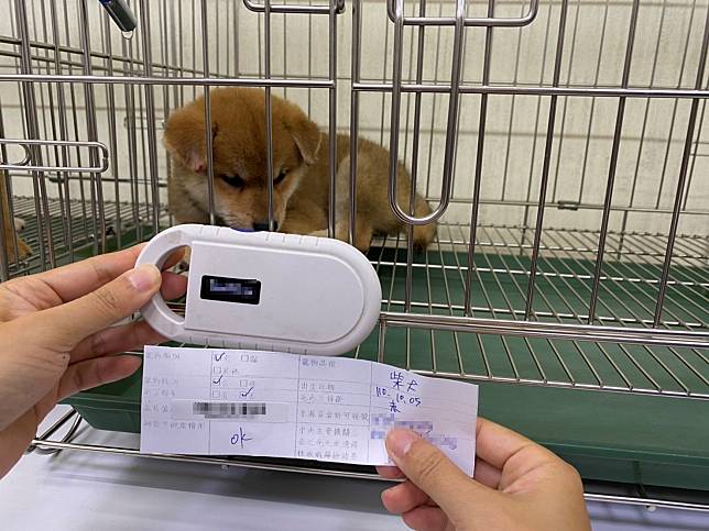掃描犬隻晶片號碼核對資訊卡及寵物登記資料。   圖：新北市動保處提供