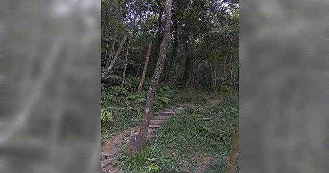 11人登山隊「新山夢湖登山步道」　遇豪雨 1男性腿部遭雷擊麻痺