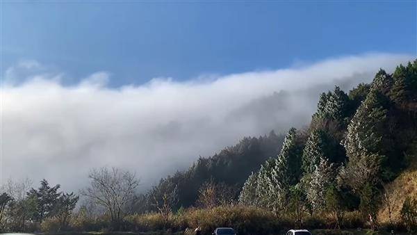 白茫茫雲海及雲瀑湧現，籠罩太平山莊。翻攝自太平山國家森林遊樂區臉書