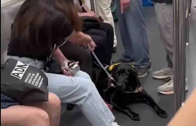 ▲4月21日在港鐵車廂內，一位老伯質疑導盲犬身分的真實性，卻引爆全網怒火。（圖／取自香港突發事故報料區臉書）