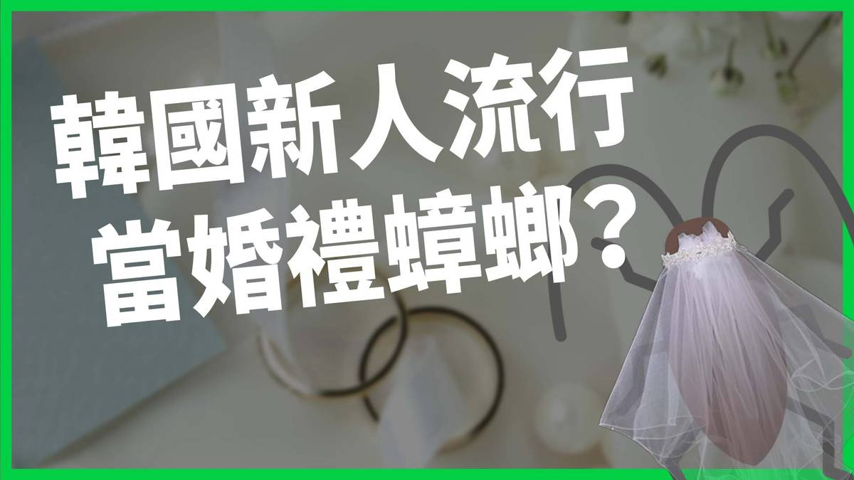 韓國新人流行當婚禮蟑螂？場地難找、價格黑箱，不踩點就踩雷！韓國年輕人乾脆不辦婚禮去買房？【TODAY 看世界】 | TODAY 看世界 ...