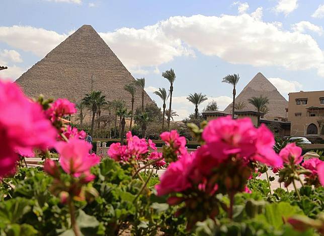 This photo taken on March 19, 2024 shows blooming flowers near the Khufu Pyramid in Giza, Egypt. (Xinhua/Wang Dongzhen)