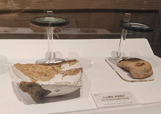 This photo taken on May 24, 2024 shows rice-tempered ceramic sherds unearthed at the Shangshan site in Pujiang County, east China's Zhejiang Province. (Xinhua/Feng Yuan)