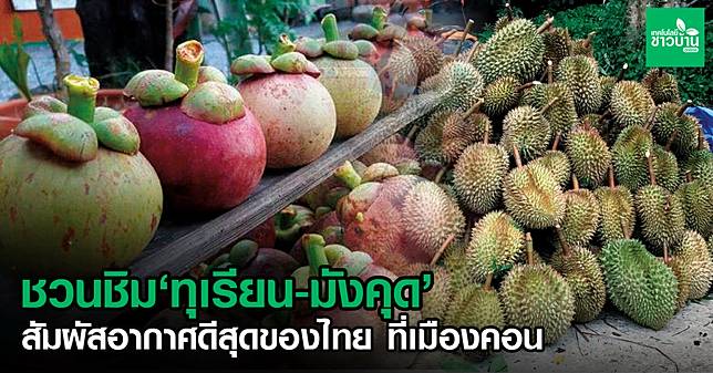 30 ตลาดสินค้า