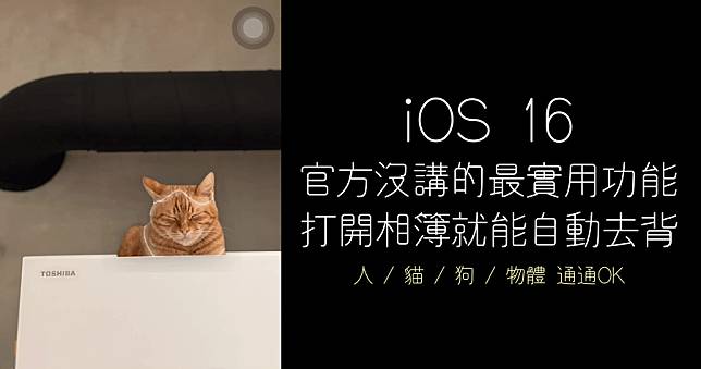 iOS 16 內鍵去背怎麼用？公認最實用功能教學，人像 / 寵物 / 物品皆能用