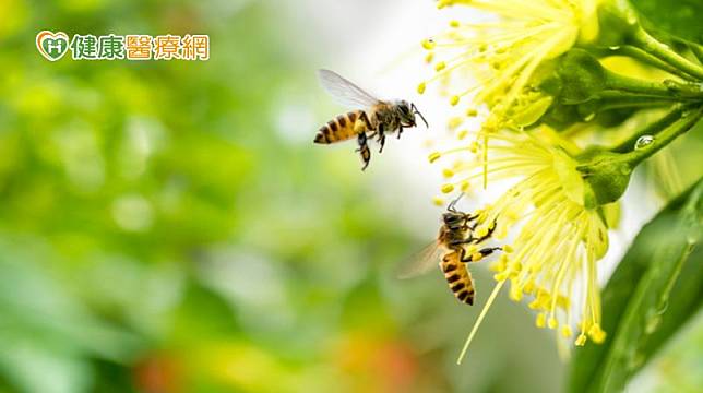 綠蜂膠研發專家、細胞生物學博士黃中洋表示，台灣綠蜂膠每年僅在特定時間可以採收，總產量稀少，且含有相當優質的「異戊二烯類黃酮」特殊成分，因此格外珍貴。