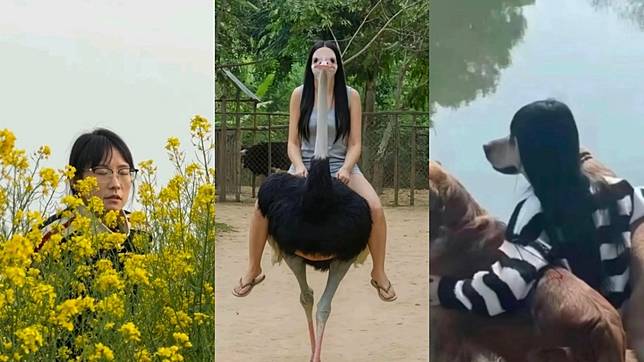 （封面圖源：theqoo）