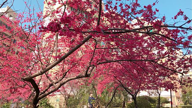 東湖樂活公園（圖/LINE熱點提供）