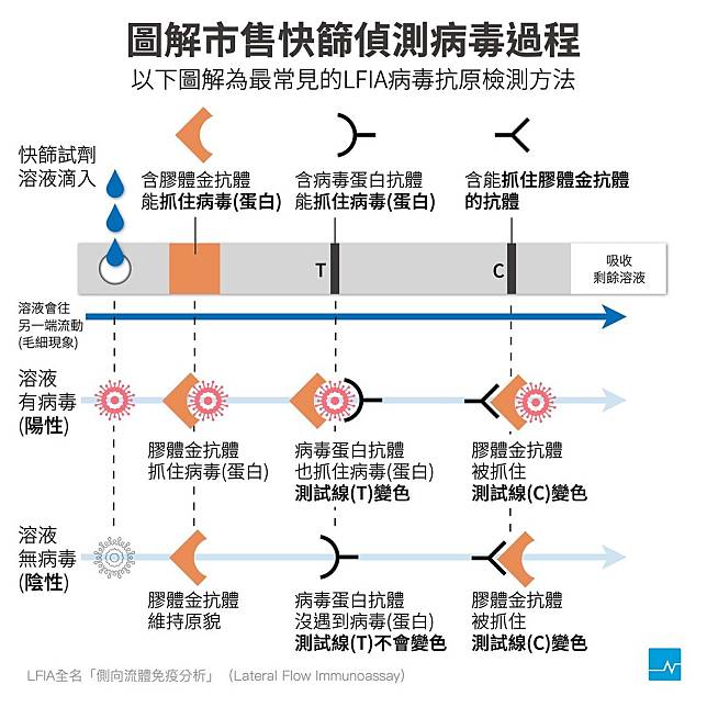 圖解市售快篩偵測病毒過程