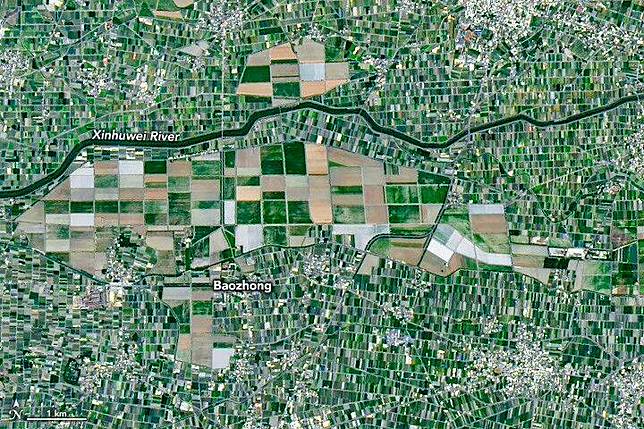 日前美國國家航空暨太空總署公布由Landsat 9衛星拍攝的影像，清晰呈現雲林縣農田，更用專文介紹台灣農業，獲得雲林鄉親熱烈討論。(圖片來源自NASA Earth Observatory/Michala Garrison)