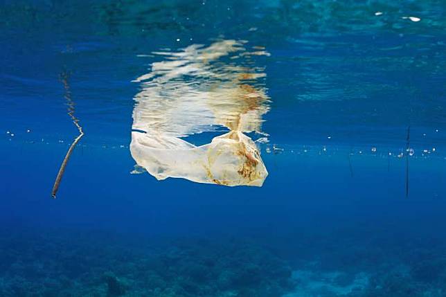 全球海洋塑膠污染日趨嚴重，這是漂浮在菲律賓外海的一個塑膠袋。（美聯社）