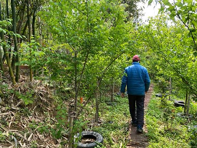 圖片提供／桃園市政府