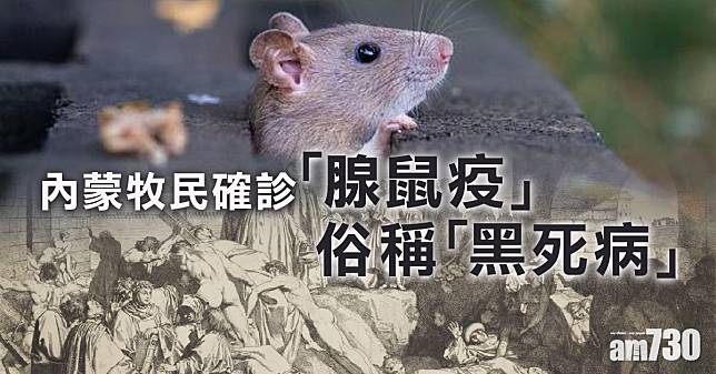 內蒙牧民確診腺鼠疫 疫點曾發現染疫死老鼠