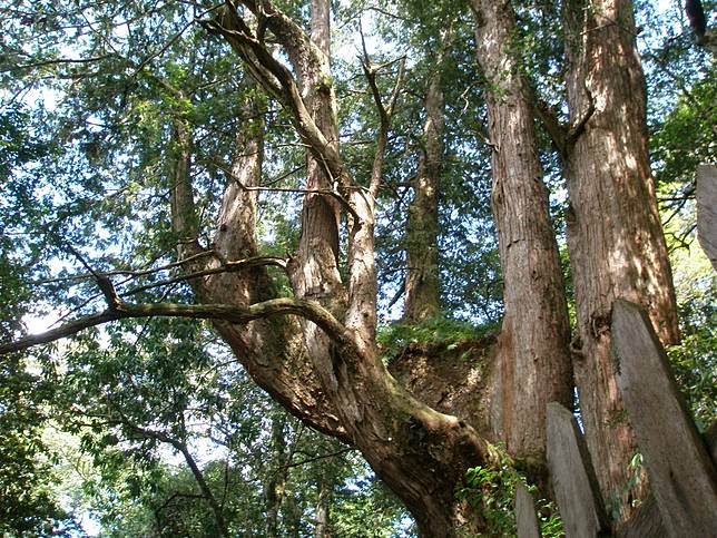 ▲新竹霞喀羅古道周邊景點-鎮西堡。 （圖／Tripbaa趣吧！自由行專家）