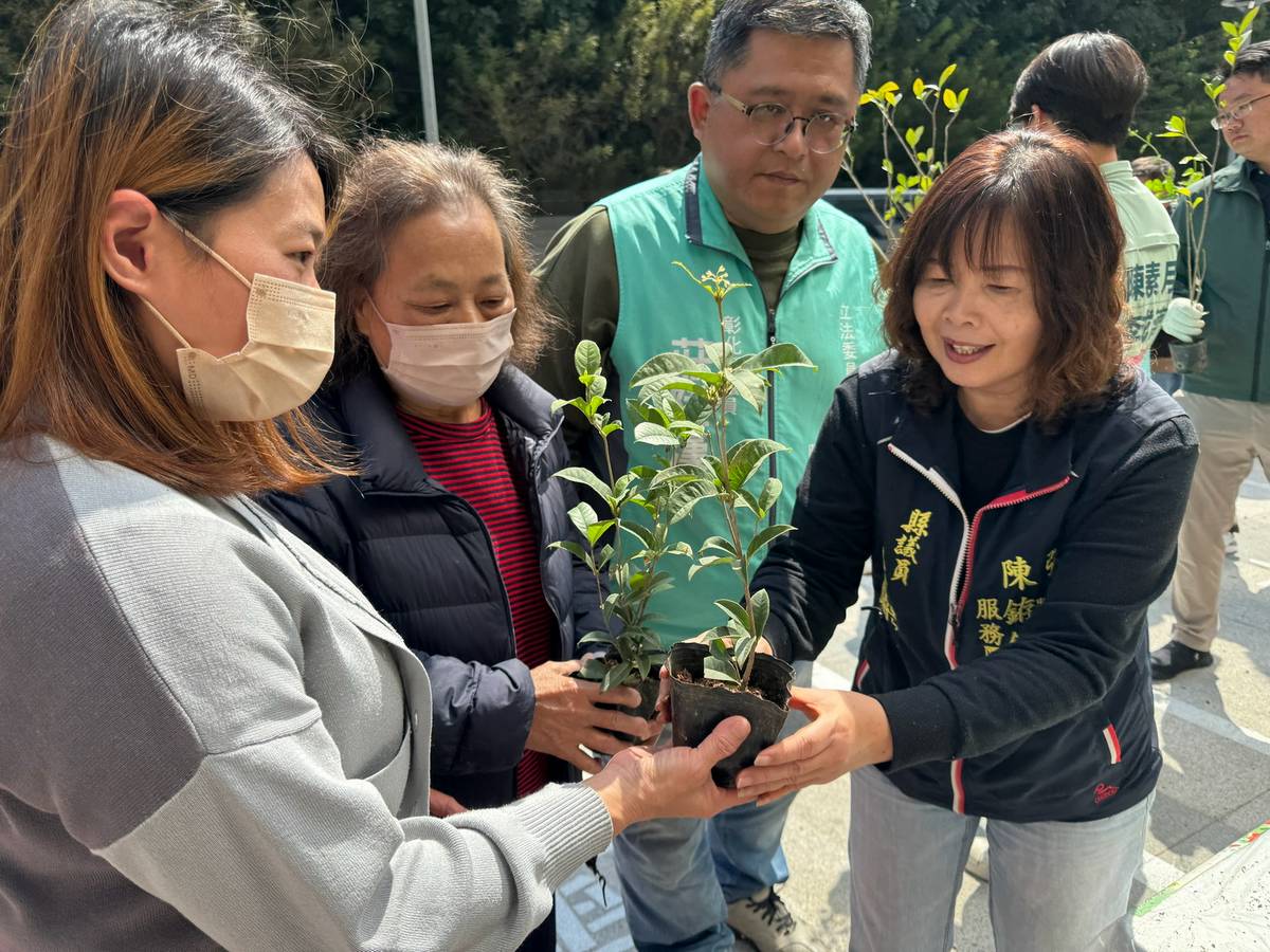 彰化市辦「森活植感日」發放2,000株花苗 綠意滿城 | 觀傳媒 | LINE TODAY