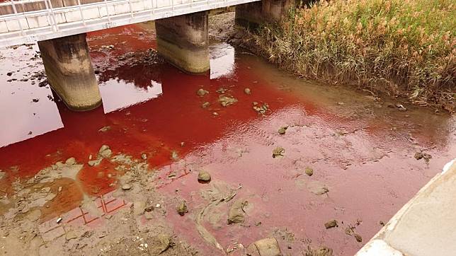 台中市清水大排河水二十七日上午被民眾發現河水，竟然變成「紅色」，要求市府應提出河川汙染防治對策，提升河川水環境品質。（記者陳金龍攝）