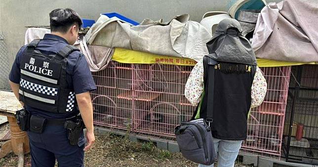 台南餐廳疑虐貓！籠內3貓「只剩白骨」　飼主稱「自然死亡」