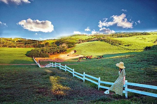 圖片來源：IG @ taiwan.4fun