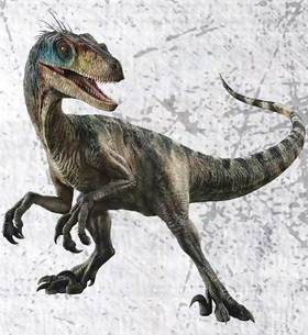 Jurassic world 特 暴 龍 限時特價訂貨 日本Jurassic World Rebirth - Rumble N Rampage Distortus Rex 侏羅紀世界 重生- 嘶吼攻擊惡龍 D-Rex 畸變暴龍 變種暴龍 畸形霸王龍