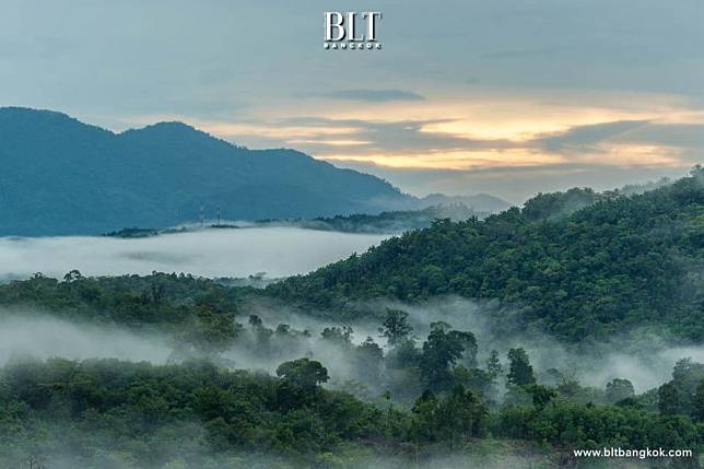 ป่าฮาลา-บาลา ป่าใหญ่บนพื้นที่ใต้สุดของประเทศไทย อุดมสมบูรณ์สมฉายา “แอมะซอนแห่งอาเซียน”