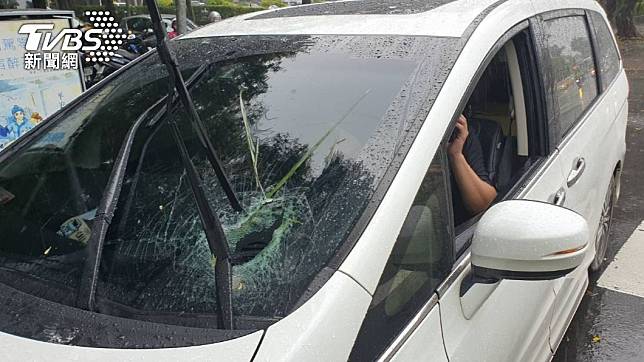 擋風玻璃遭掉落的大王椰子樹樹葉擊破。（圖／TVBS）