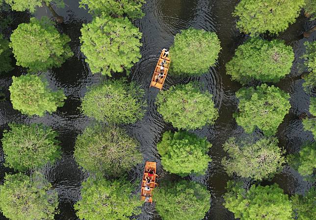 An aerial drone photo taken on May 26, 2024 shows tourists taking boats at Luyang Lake wetland park in Yangzhou, east China's Jiangsu Province. (Photo by Meng Delong/Xinhua)