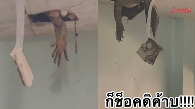 ตัวเงินตัวทองบนฝ้า-06