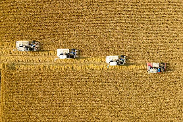 An aerial drone photo shows agricultural machines working in fields in Daoxiang Village of Suihua City, northeast China's Heilongjiang Province, Oct. 13, 2024. (Xinhua/Zhang Tao)