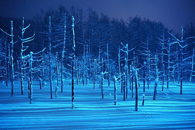 photo credit to Good Day 北海道 Facebook