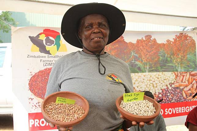 A farmer holds clay bowls containing different varieties of cowpeas during a food and seed fair in Harare, Zimbabwe, on Sept. 14, 2024. (Photo by Tafara Mugwara/Xinhua)