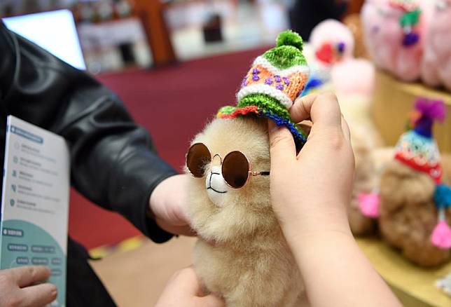 Visitors select alpaca toys at the booth of Warmpaca during the seventh China International Import Expo (CIIE) in east China's Shanghai, Nov. 5, 2024. (Xinhua/Jin Mamengni)