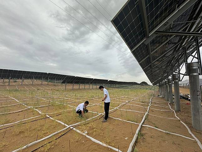 This photo taken on July 24, 2024 shows the Kubuqi Desert Ordos Central-Northern New Energy Base project located in Dalad Banner, north China's Inner Mongolia Autonomous Region. (Xinhua/Wang Jing)