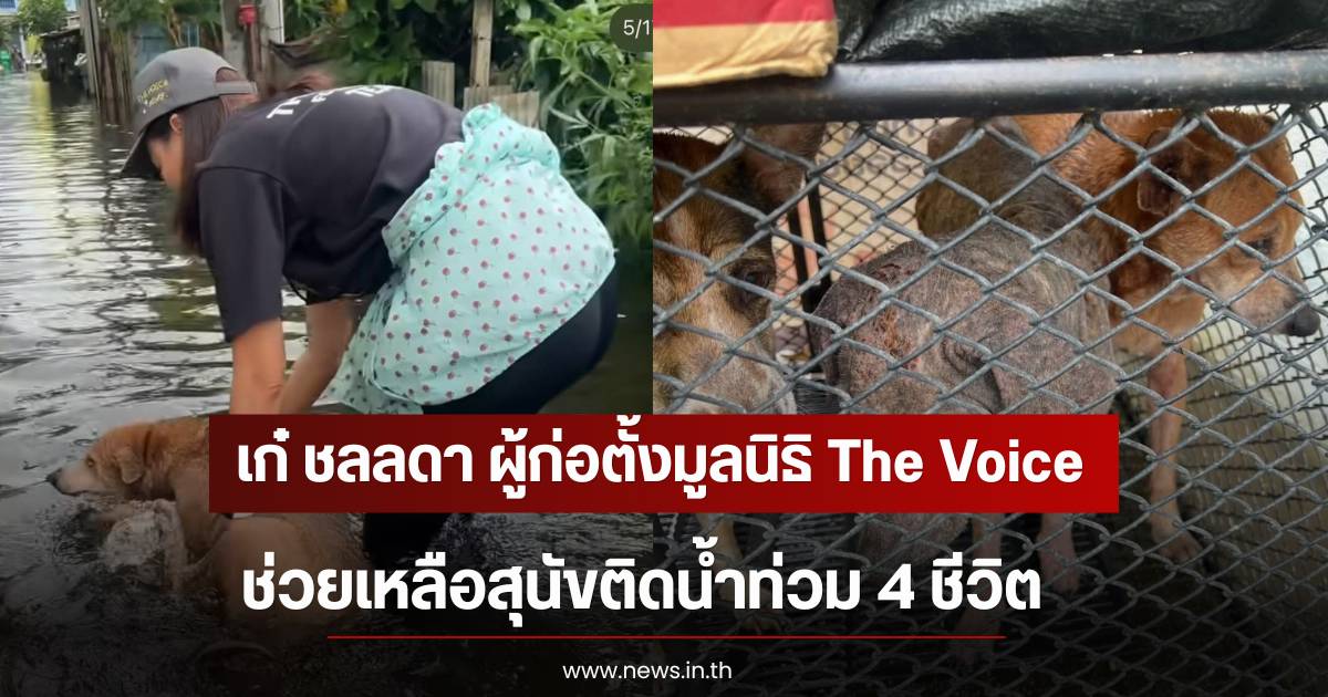 Kae Chollada leads The Voice Foundation team to rescue dogs stranded in floods
