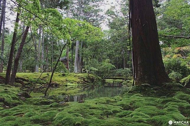 世界文化遺產京都西芳寺