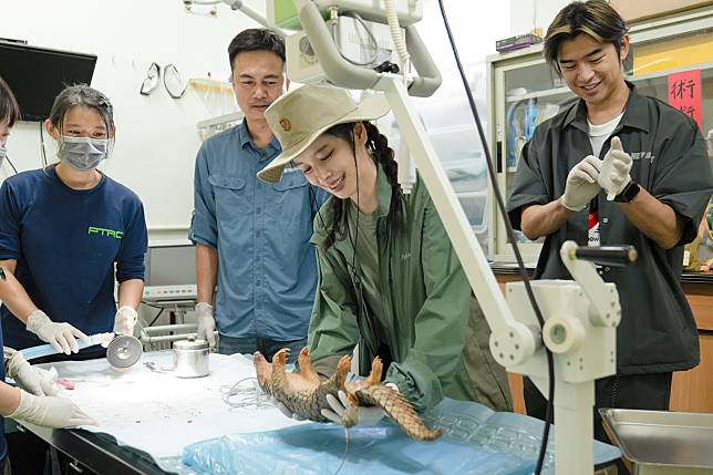 徐若瑄初次體驗抱穿山甲寶寶。（圖／灰魚影像）