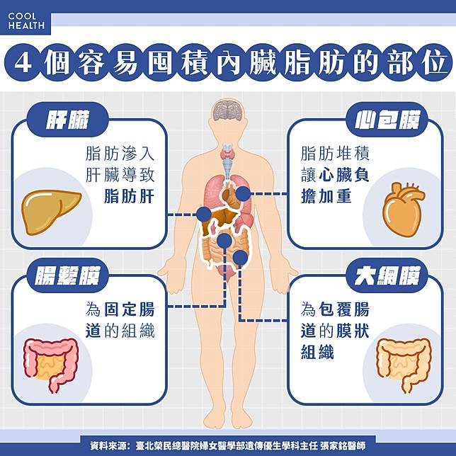 瘦在外表、胖在內臟？ 「瘦胖子」恐比真胖子更不健康