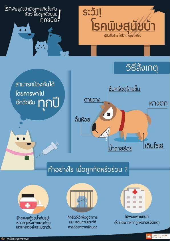 ป้องกันตนเองจากโรคพิษสุนัขบ้า ด้วยหลัก 5 ย