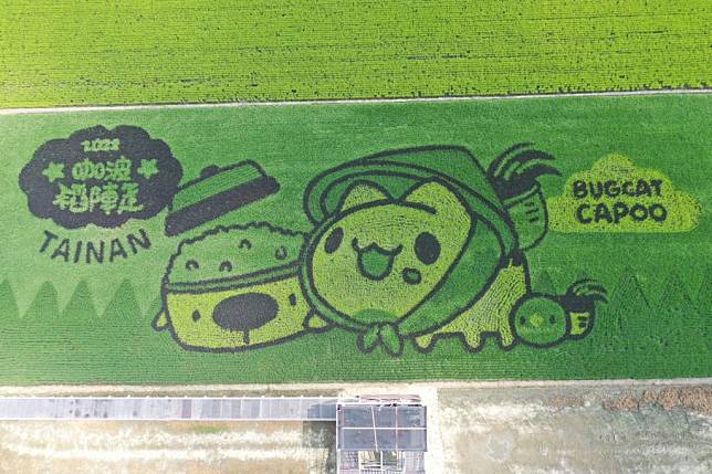 二０二二台南好米祭後壁彩繪稻田圖騰。（農業局提供）