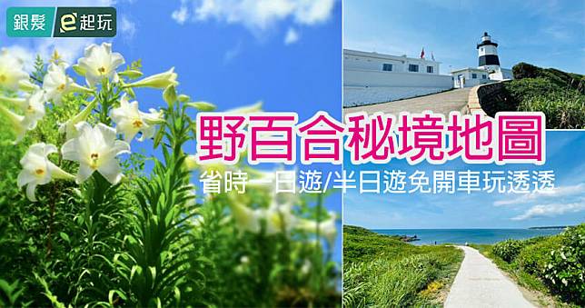 黃白盛開如蝶飛舞花滿爆發！台北市溫州公園旁「5層樓高珍貴加羅林魚木」，40年屹立不搖金黃繁花背後藏暖心故事