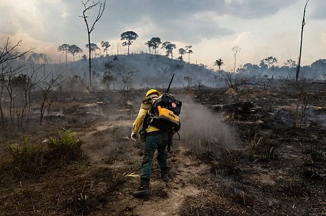 調查顯示128個屠宰場與亞馬遜森林大火間的關係。照片來源：英國非營利組織新聞調查局
