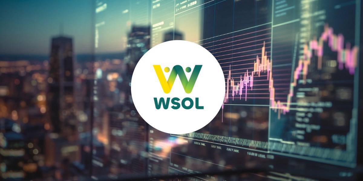 ศาลสั่งยกคำร้องฟื้นฟู WSOL เหตุงบปี 68 ติดลบต่อเนื่อง-แหล่งเงินทุนไม่ ...