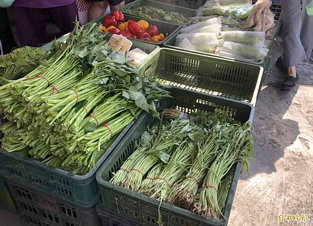 中元普度即將到來，大台北蔬菜批發價格小漲，不過零售端售價仍維持平穩。(記者楊媛婷攝)