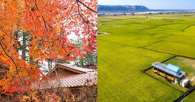 秋冬台中賞花推薦7大景點！「后里環保公園」媲美新社花海，「沐心泉」賞楓紅、絕美盆地晚霞美景！