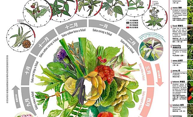 16 種野菜季節曆，陪你度過四季！林試所與貓公部落合作，調查兩年繪製