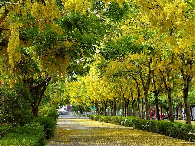 圖片提供/屏東榮譽國民之家