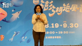 行政院南部服務中心副執行長陳慧玲涉貪助理費645萬餘元。（圖／TVBS資料畫面）
